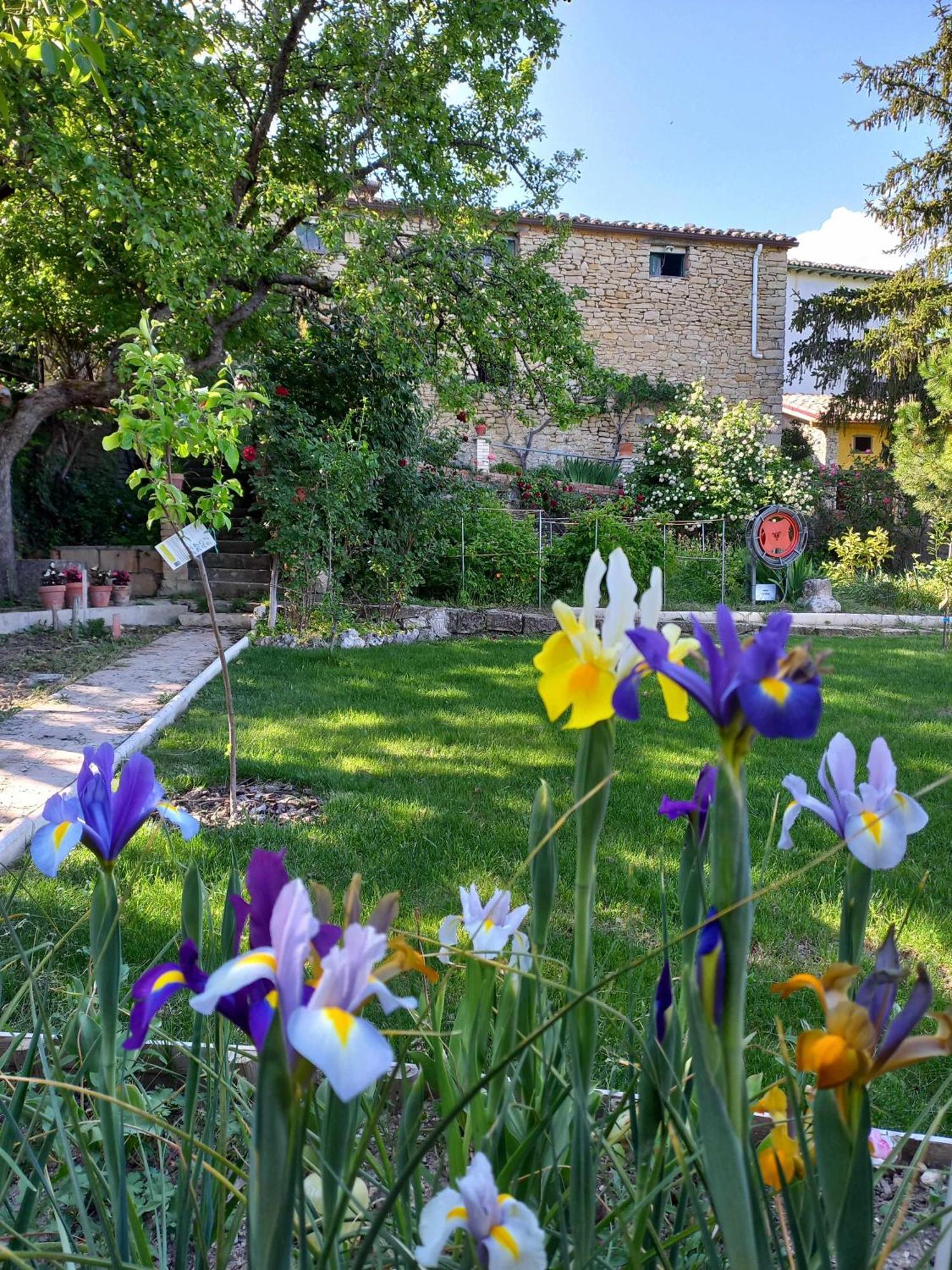 Casa Albaitar Con Piscina Y Sala De Juegos Azcona Esterno foto